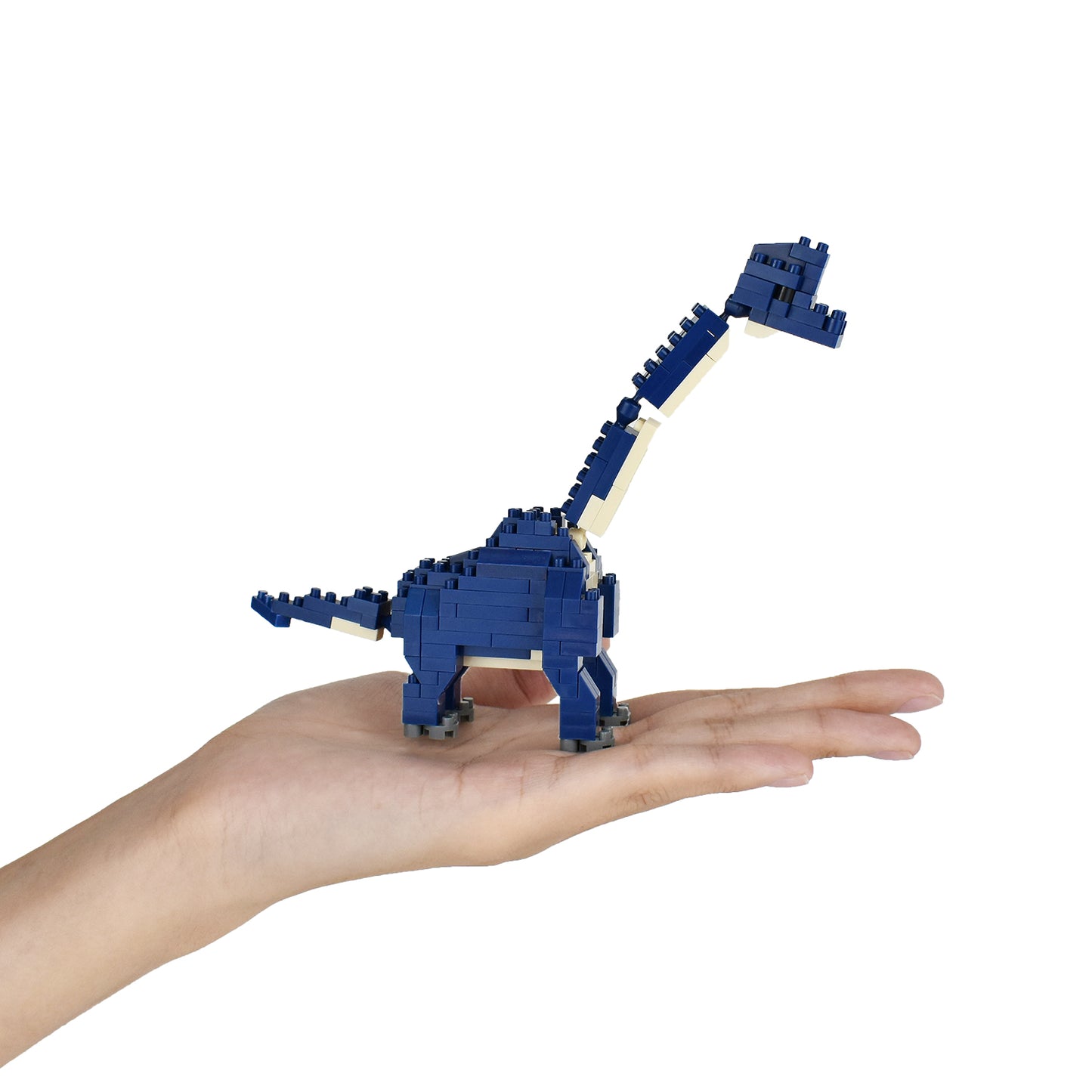 Nanoblock Collection Series Brachiosaurus "Dinosaurs"