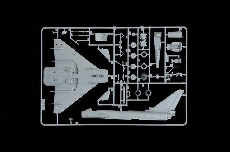 1:72 EF 2000 TYPHOON with seater