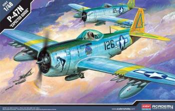 ACY12281   —  1/48 P-47N Special