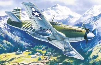 ICM48161 WW2 American Fighter